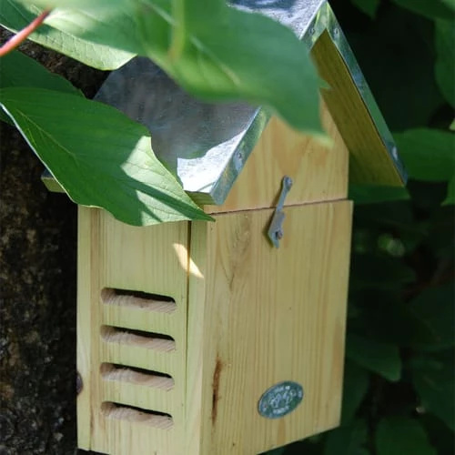 Esschert Design Statuettes Et Figurines Abri à Coccinelles 7 Esschert Design Statuettes Et Figurines Abri à Coccinelles – Image 5