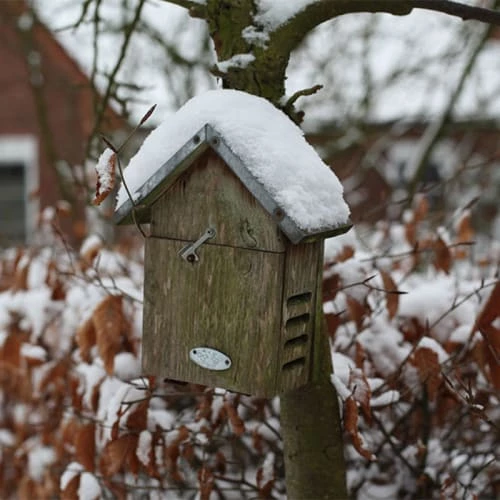 Esschert Design Statuettes Et Figurines Abri à Coccinelles 8 Esschert Design Statuettes Et Figurines Abri à Coccinelles – Image 6