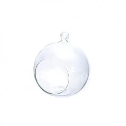 Graine Créative Vases Boule Verre Ouverte 8cm
