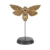 Maisons Du Monde Statuettes Et Figurines Déco à Poser Papillon En Résine Noir Et Doré H21 -Vases Soldes deco a poser papillon en resine noir et dore h21 1000 6 7 226327 1