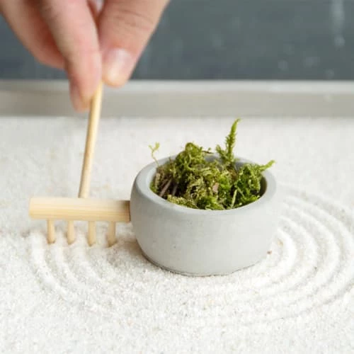 Esschert Design Statuettes Et Figurines Jardin Zen Rond 24 Cm 4 Esschert Design Statuettes Et Figurines Jardin Zen Rond 24 Cm – Image 2