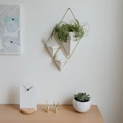 Umbra Lot De 2 Vases Muraux Trigg Céramique Doré -Vases Soldes lot de 2 vases muraux trigg ceramique dore 4