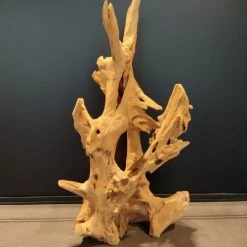 Dijk Statuettes Et Figurines Racine Décorative En Teck H70 Cm -Vases Soldes racine decorative en teck h70 cm 5