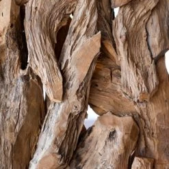 Dijk Statuettes Et Figurines Sculpture Racine En Teck Sur Pied H 200 Cm 10 Dijk Statuettes Et Figurines Sculpture Racine En Teck Sur Pied H 200 Cm -Vases Soldes sculpture racine en teck sur pied h 200 cm 3