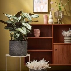 Mica Decorations Vases Vase En Aluminium Beige H24 -Vases Soldes vase en aluminium beige h24 7