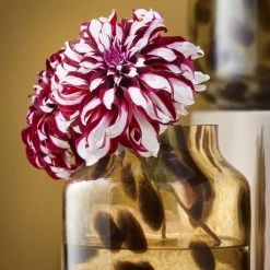 Mica Decorations Vases Vase En Verre Recyclé Marron H26,5 -Vases Soldes vase en verre recycle marron h26 5 1